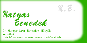 matyas benedek business card